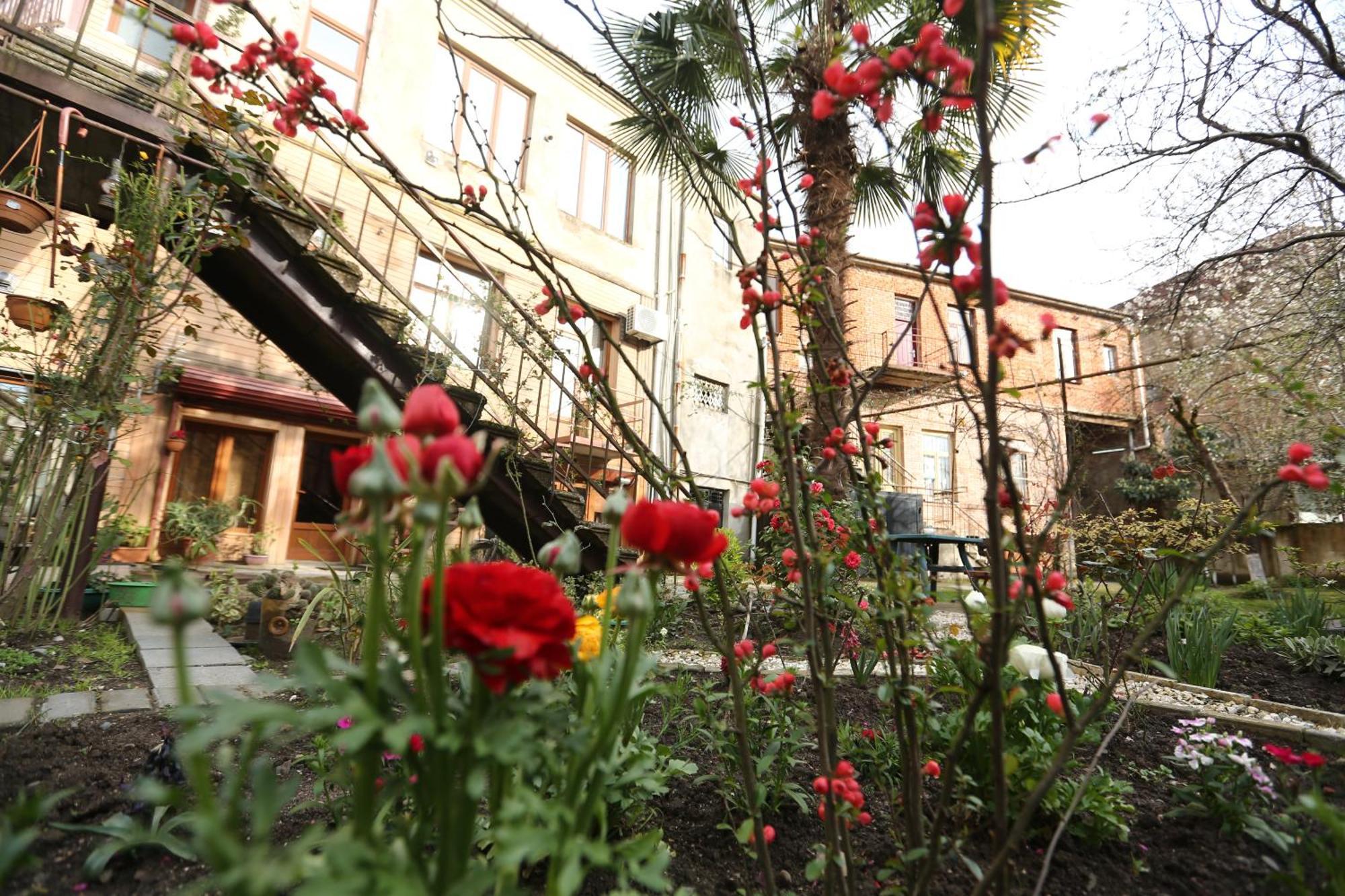 Hostel Feola Kutaisi Zewnętrze zdjęcie
